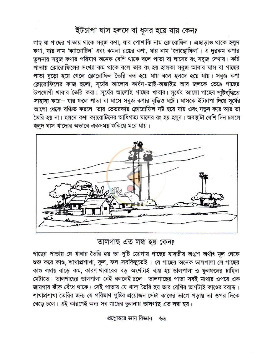 পাতা 12