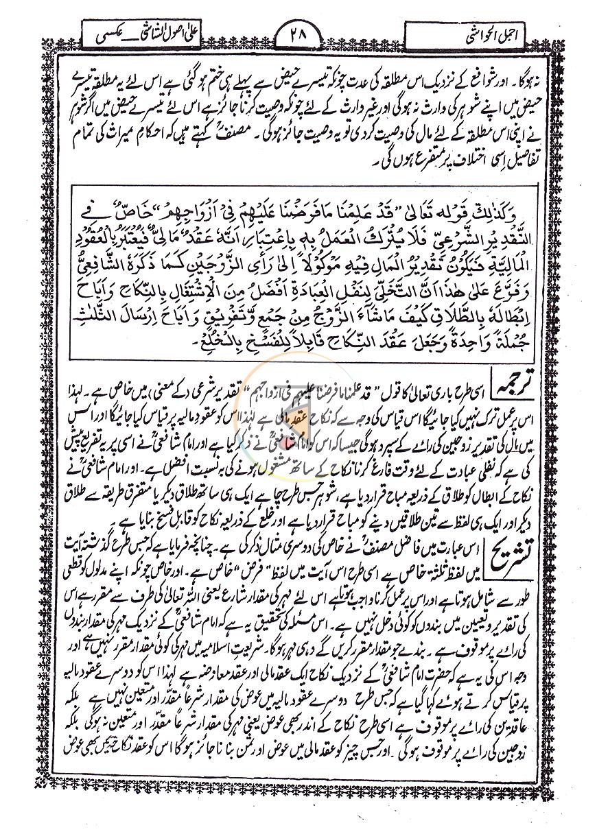 পাতা 11