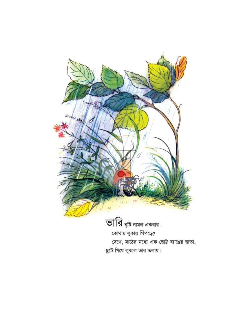 পাতা 2