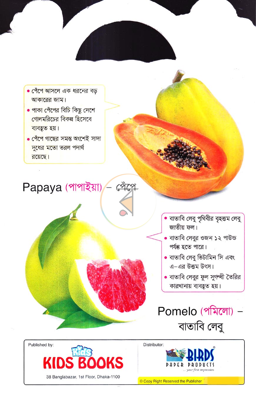পাতা 4
