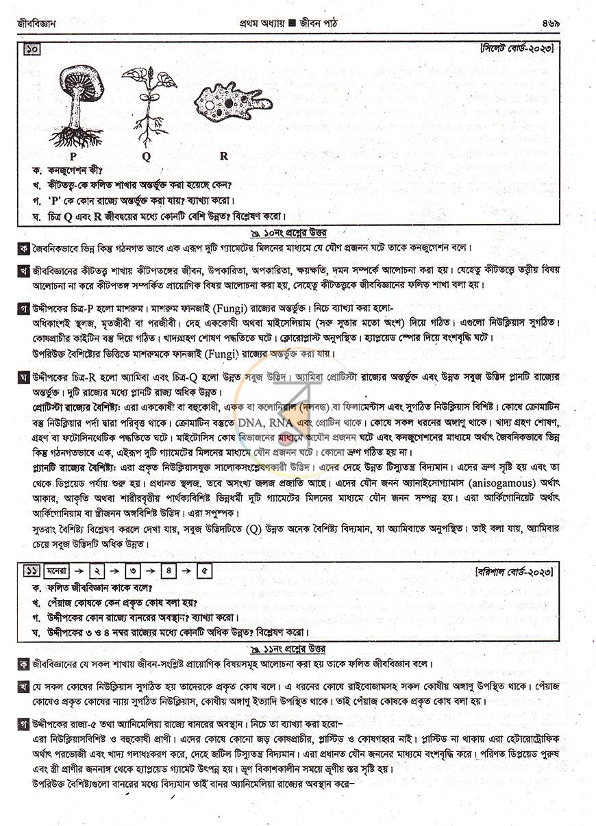 পাতা 19