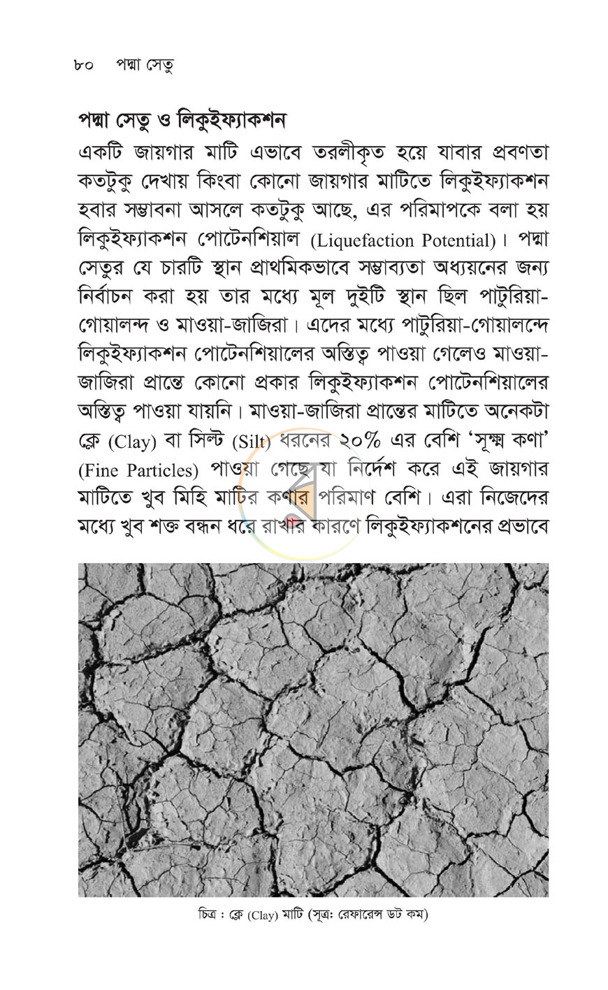 পাতা 19
