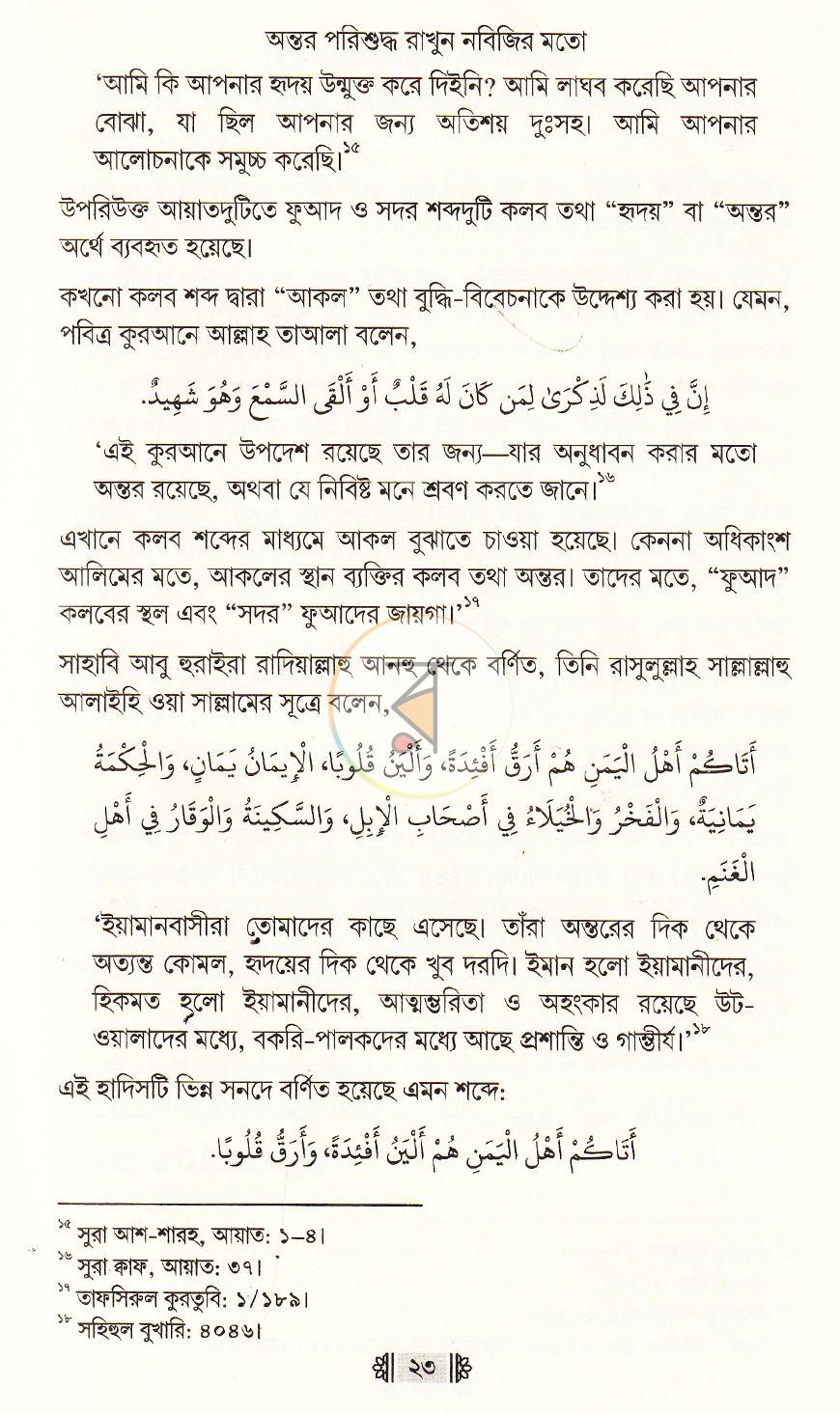 পাতা 13