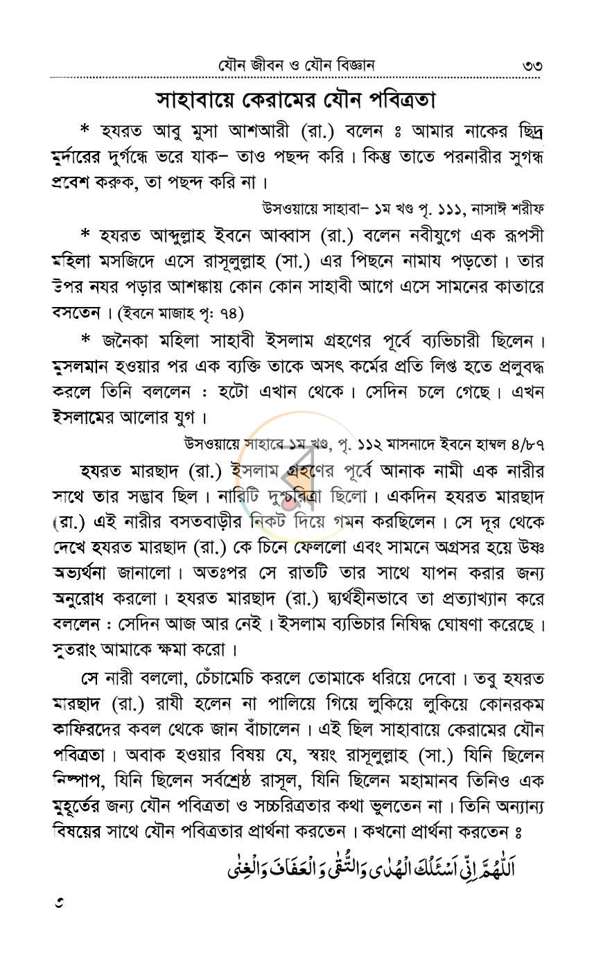 পাতা 13
