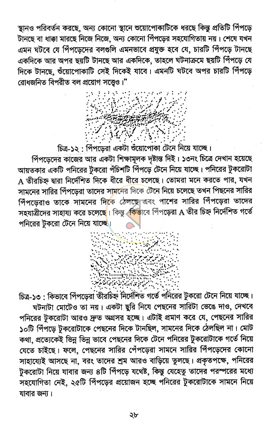 পাতা 12