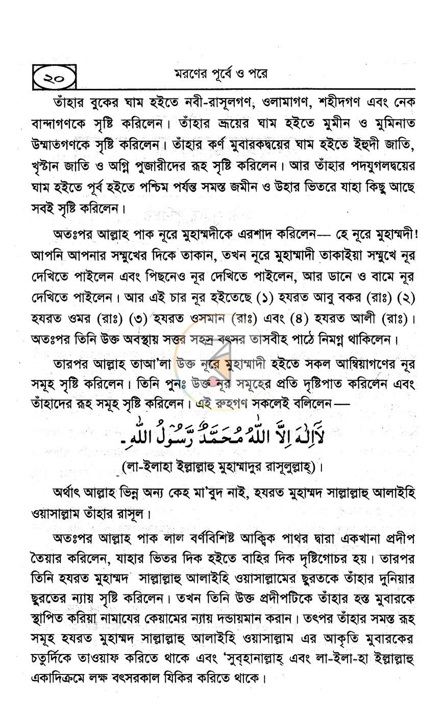 পাতা 9