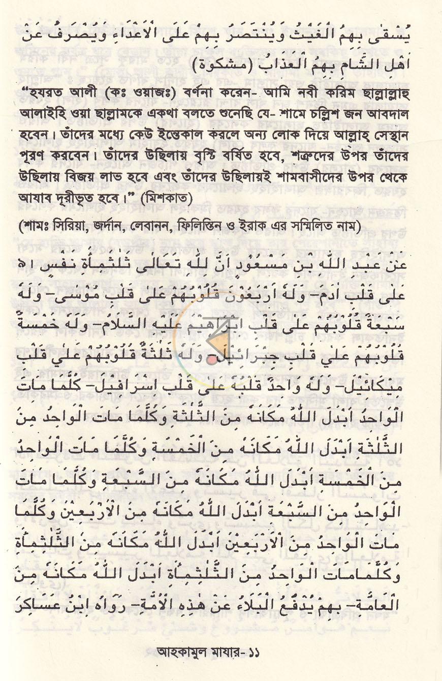 পাতা 10