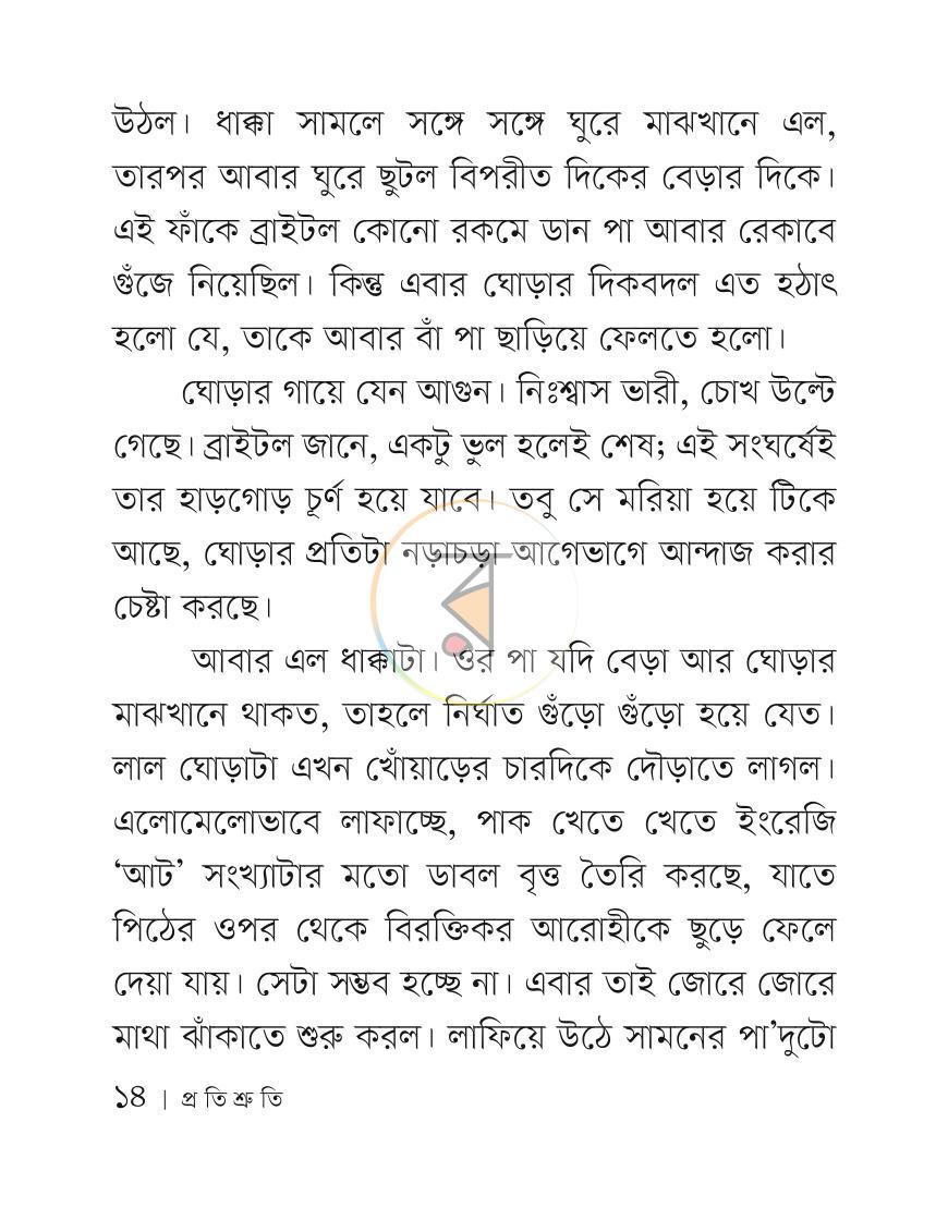 পাতা 13