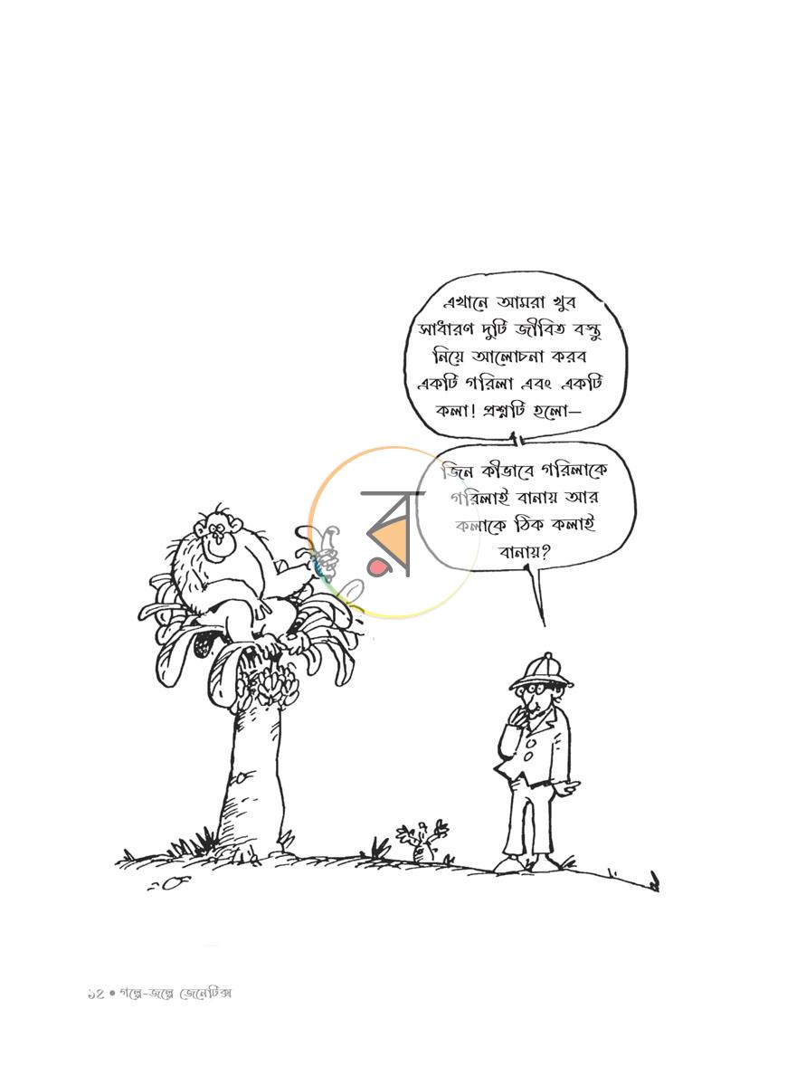 পাতা 25