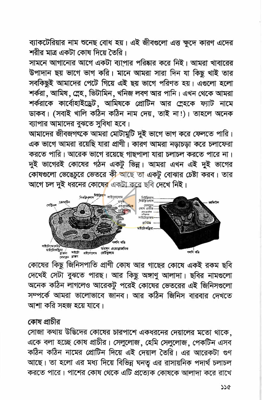 পাতা 10