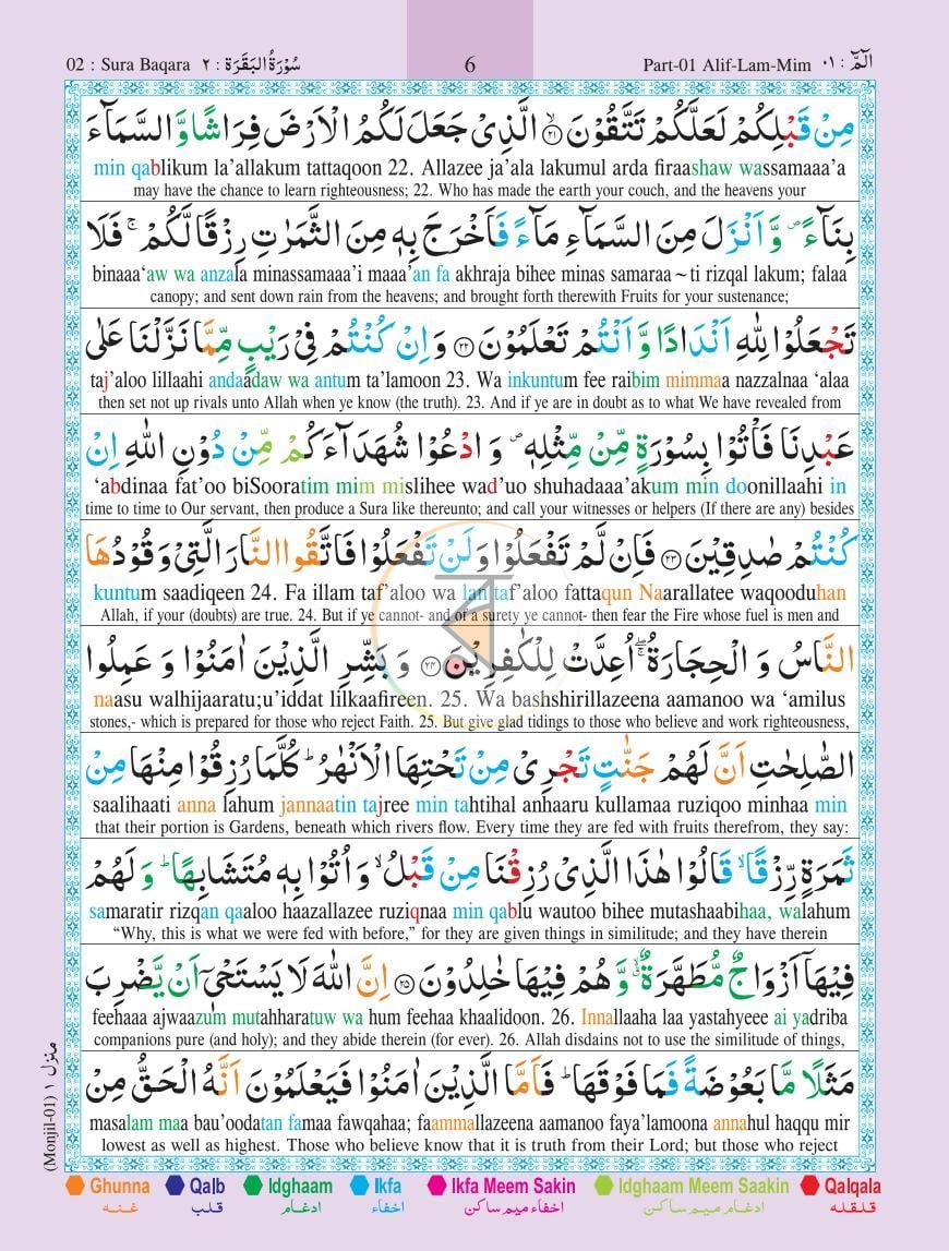 পাতা 11