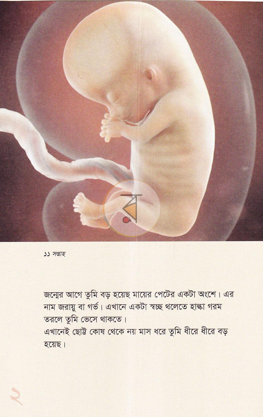 পাতা 4