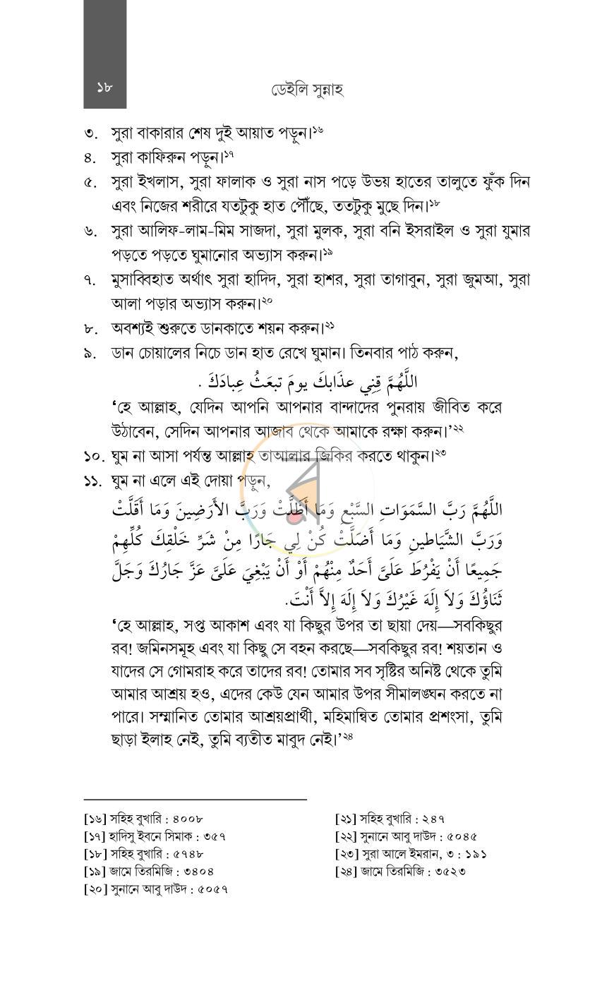 পাতা 13
