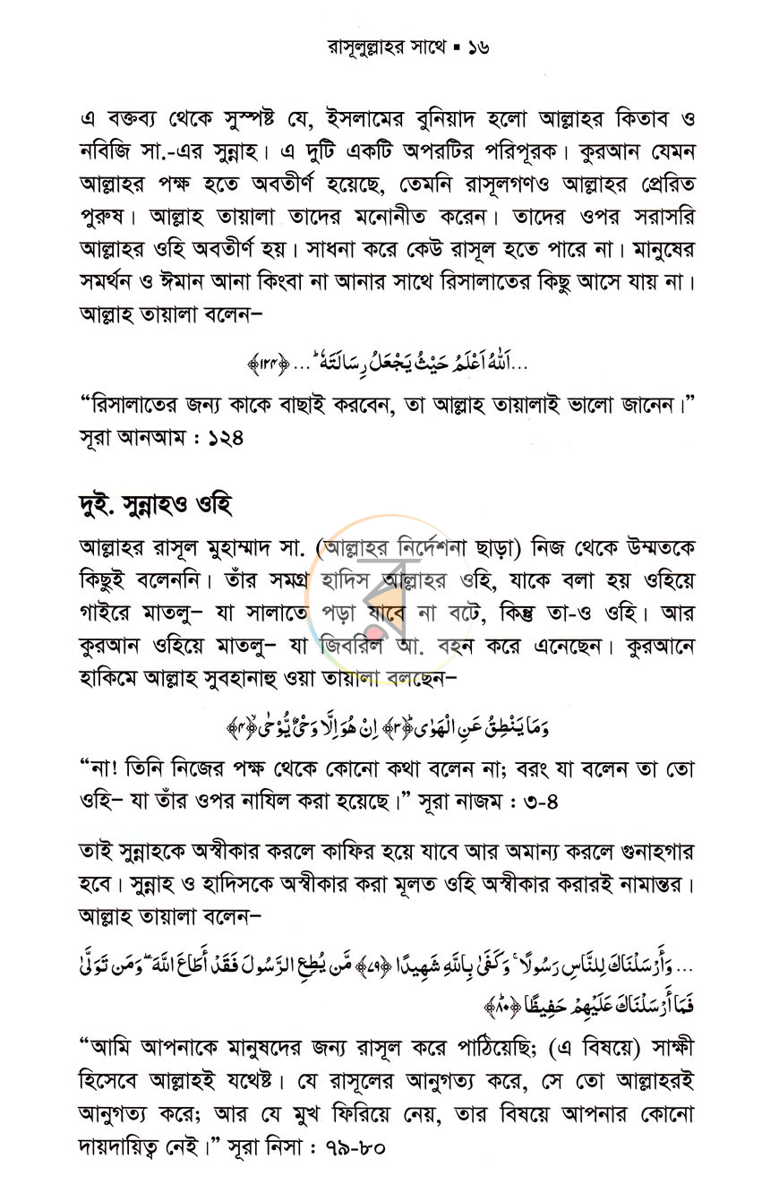 পাতা 11