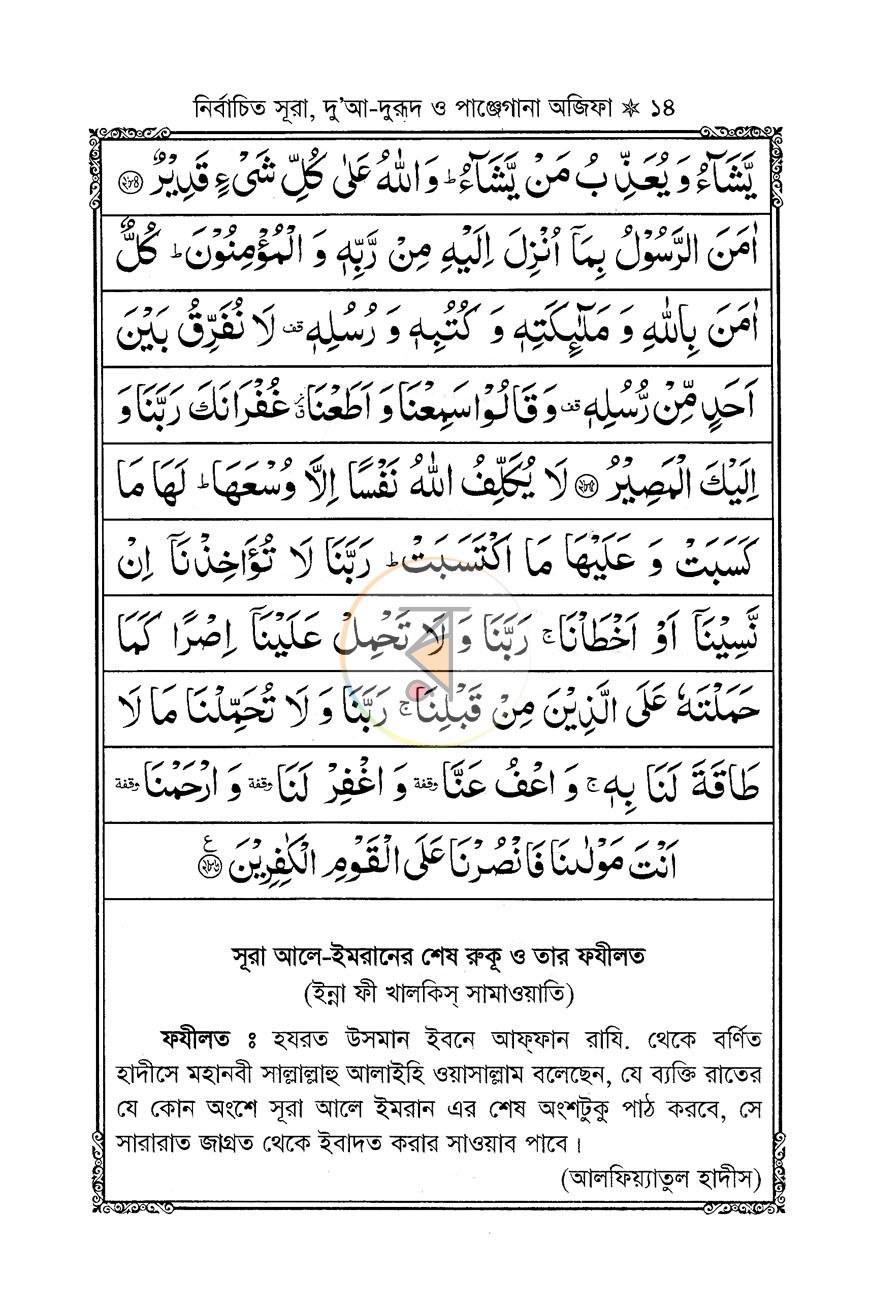 পাতা 12