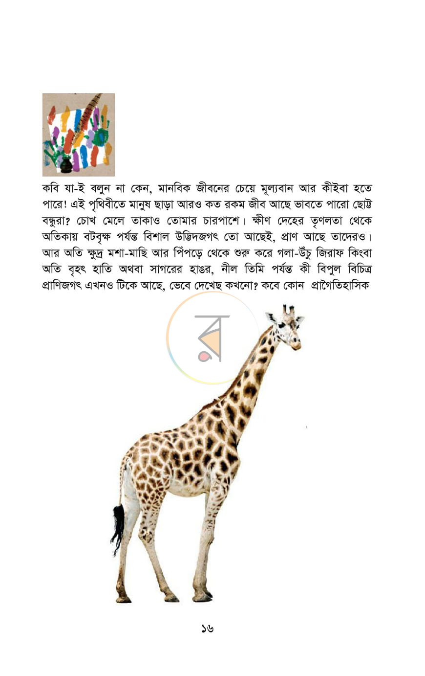 পাতা 7