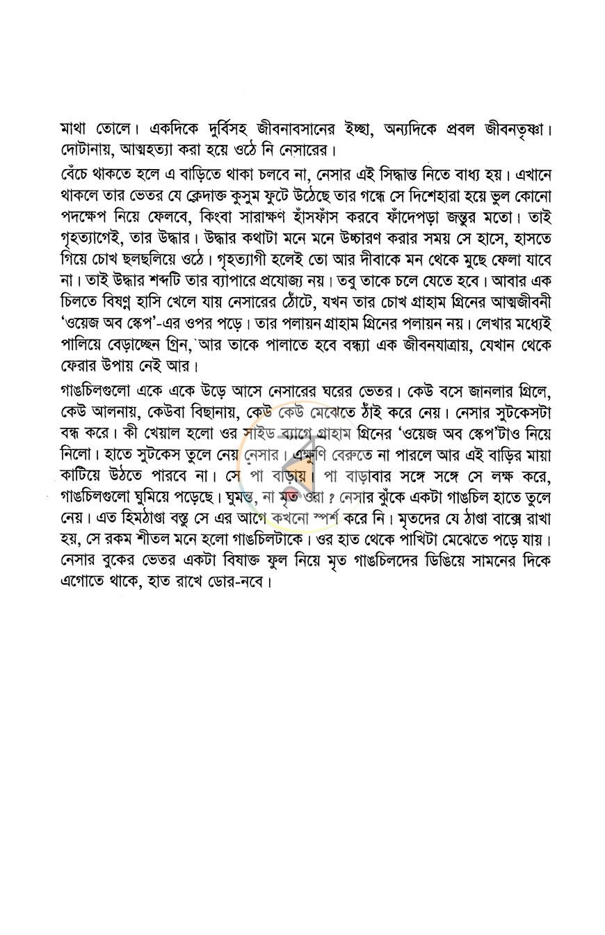 পাতা 9