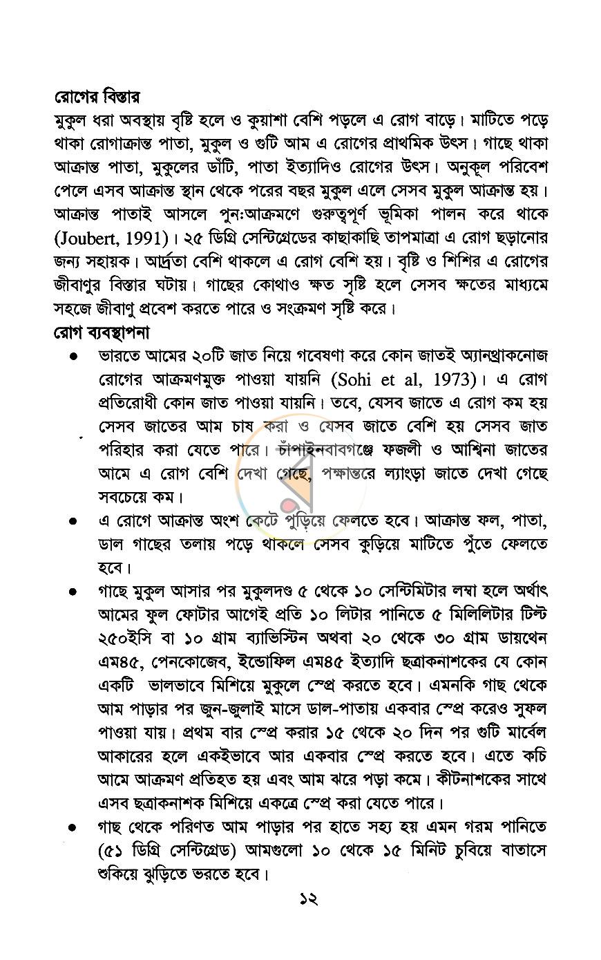 পাতা 10