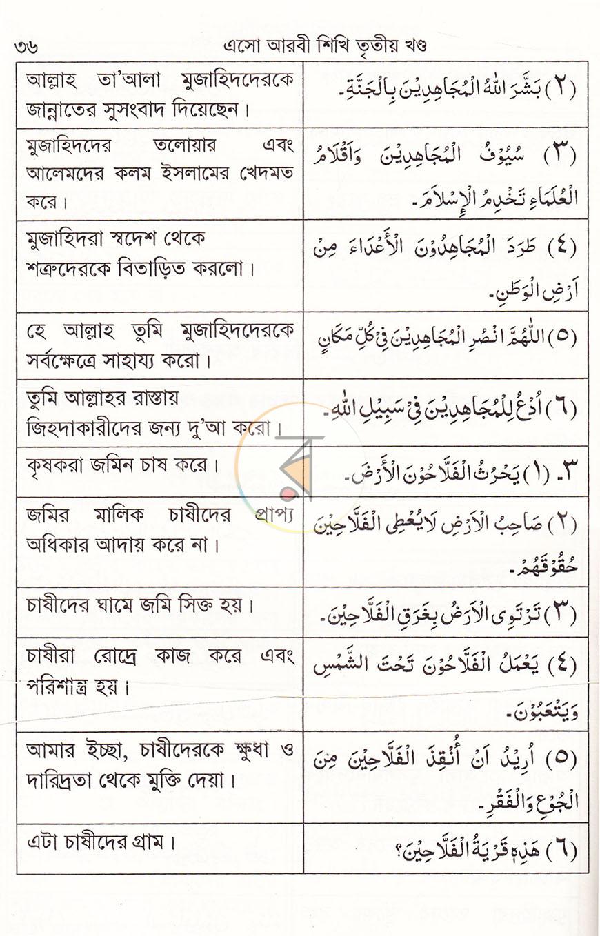 পাতা 8