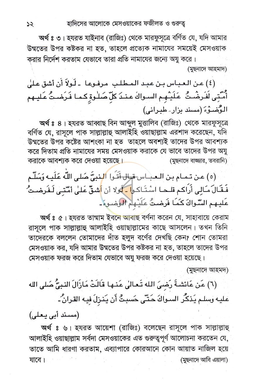 পাতা 6