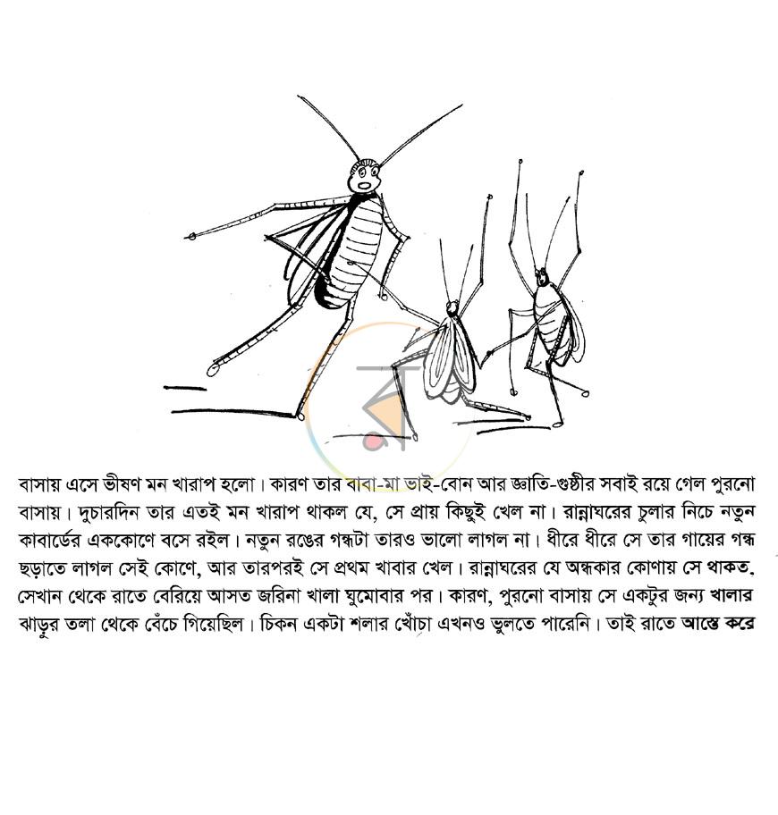 পাতা 5