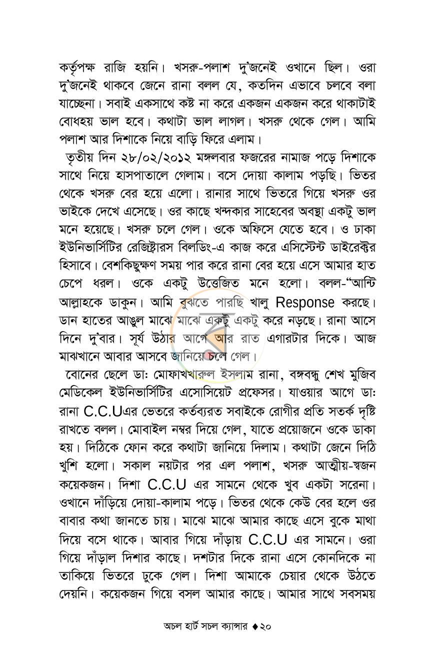 পাতা 19