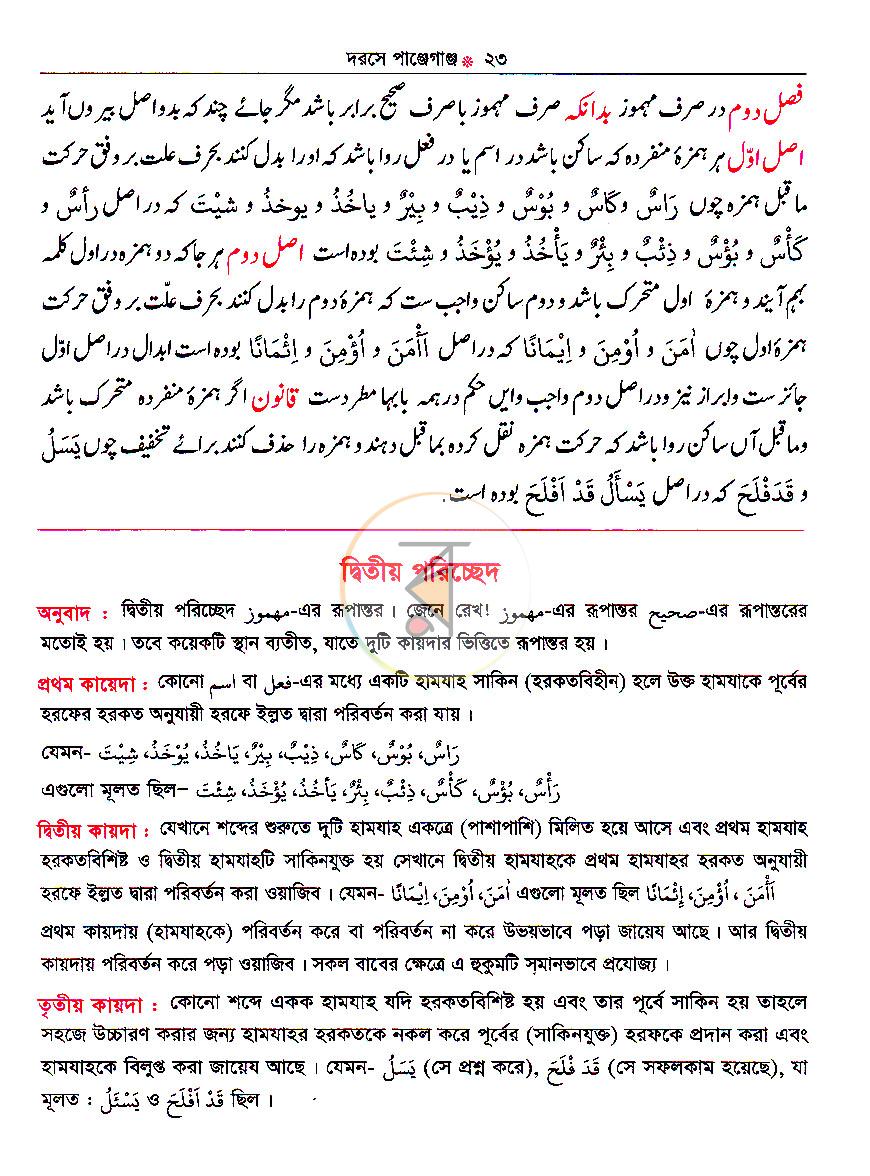 পাতা 11
