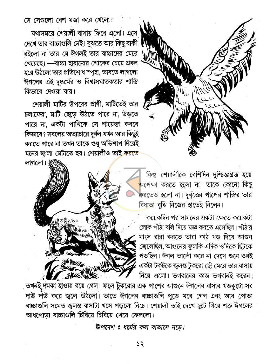 পাতা 9