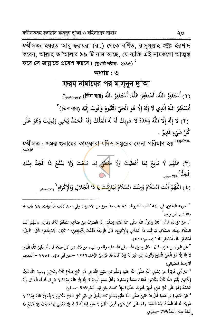 পাতা 9