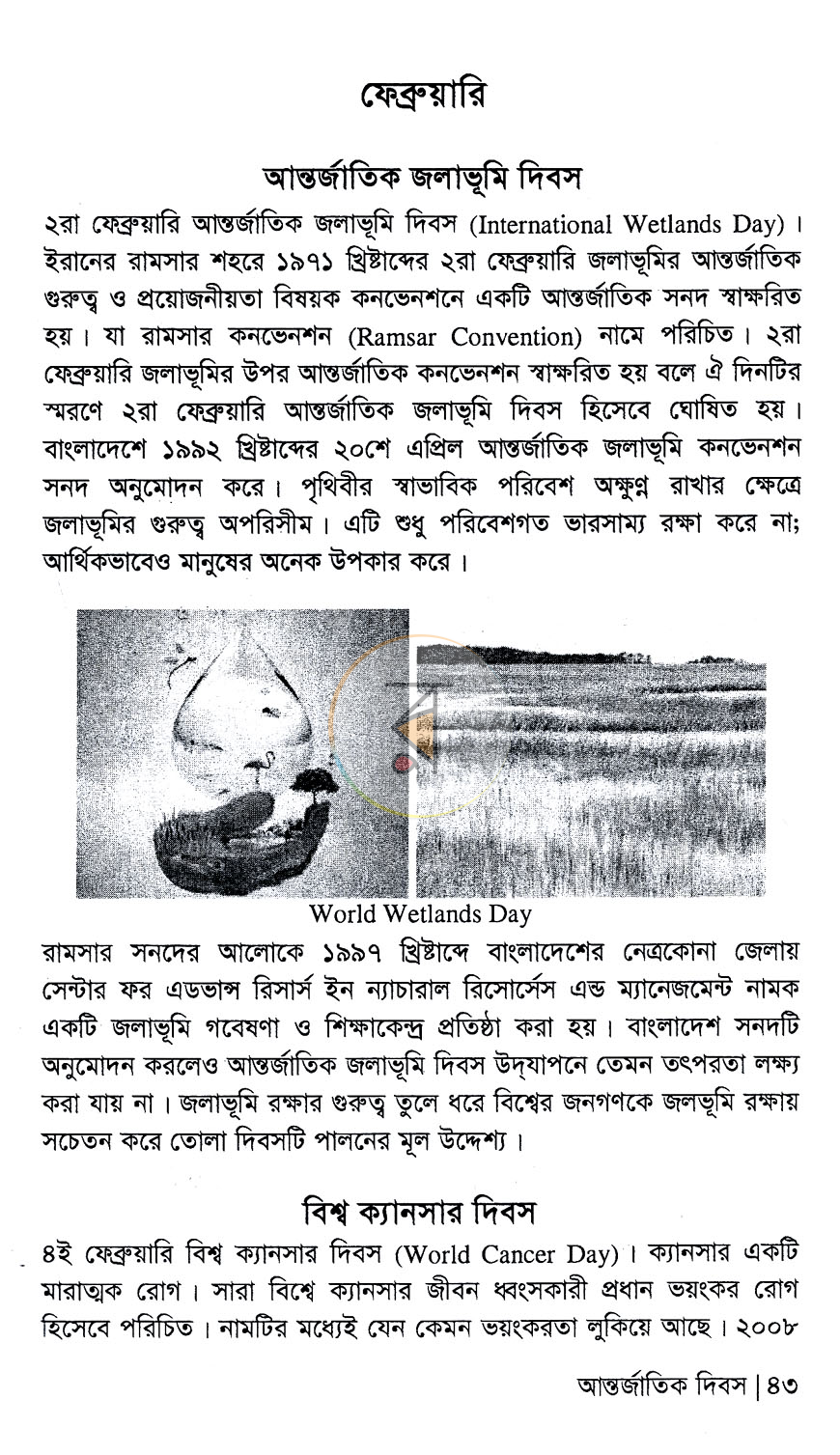 পাতা 10