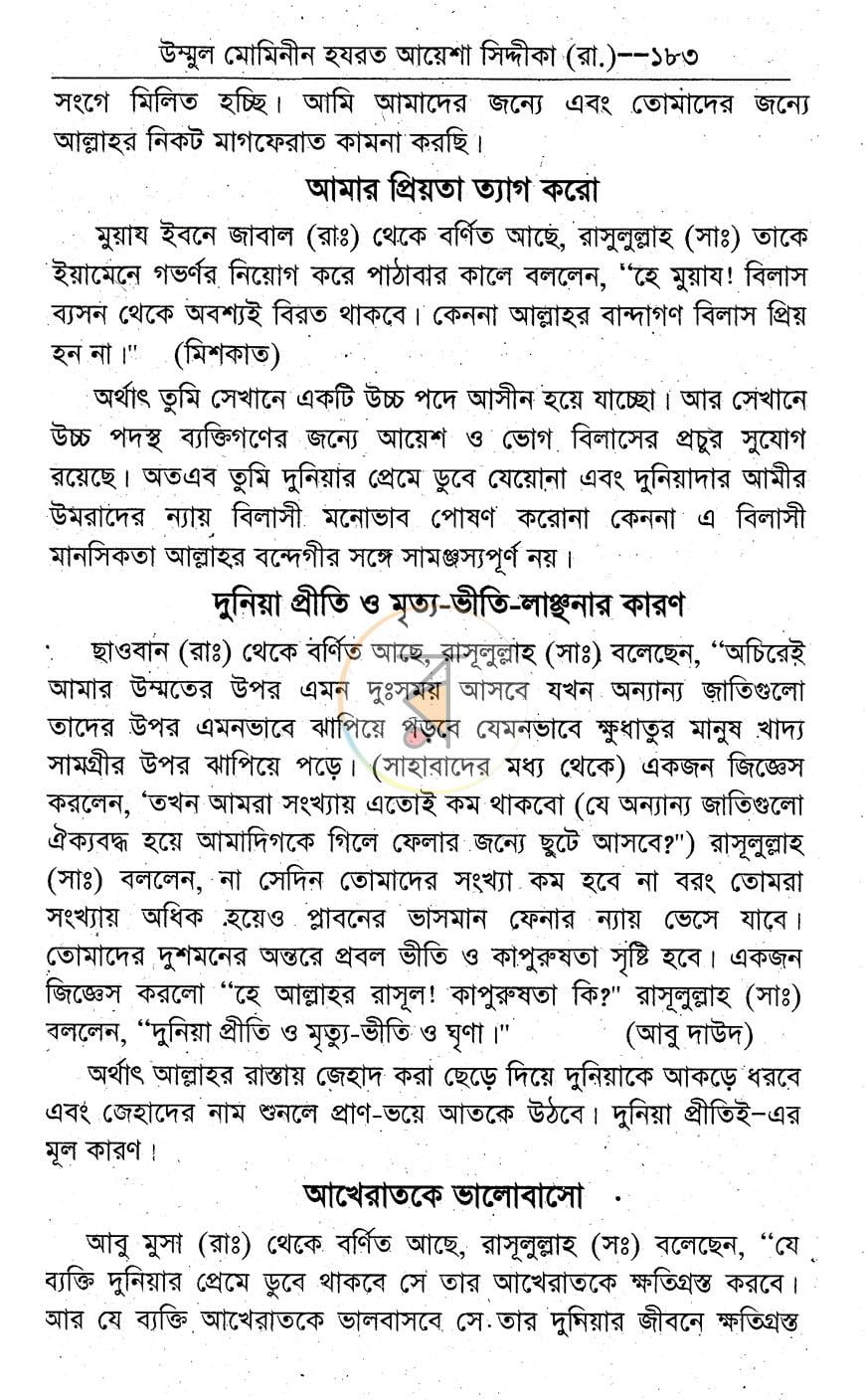 পাতা 11