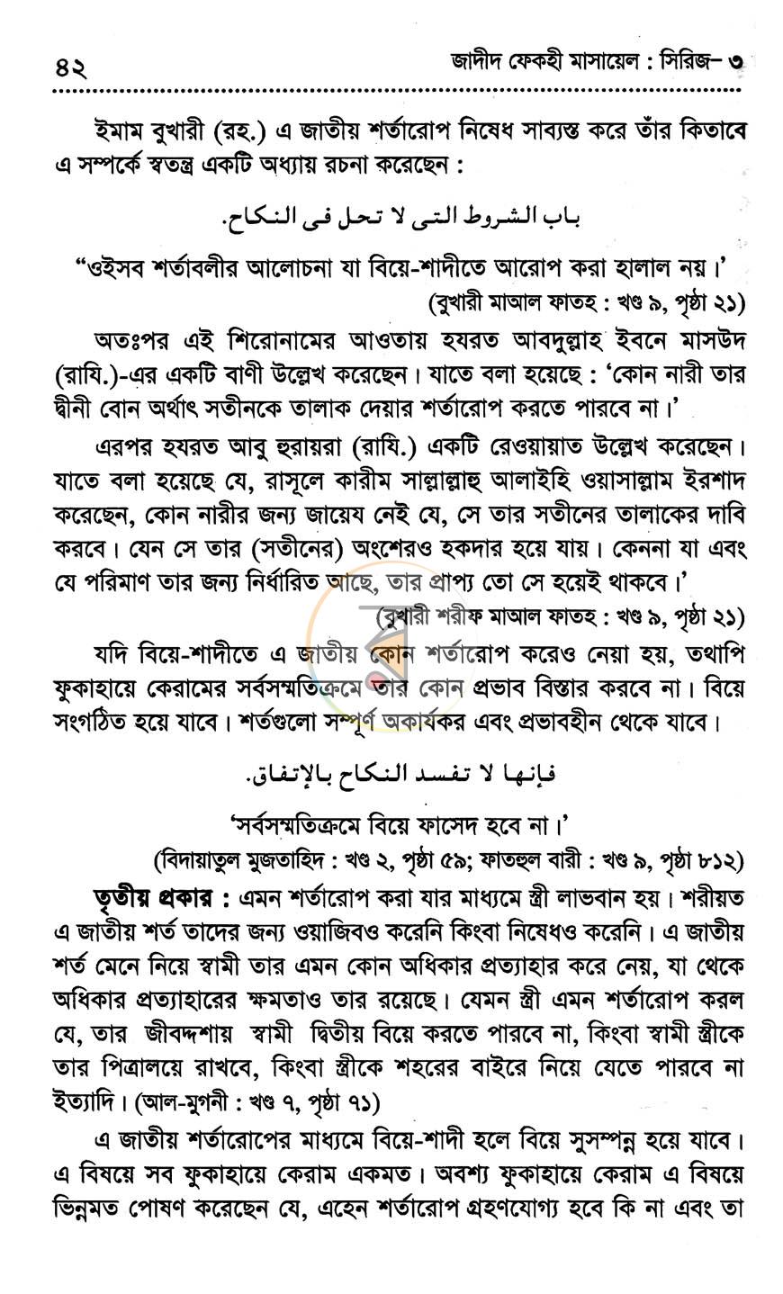 পাতা 13