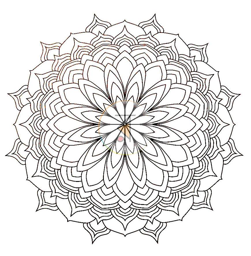 পাতা 8