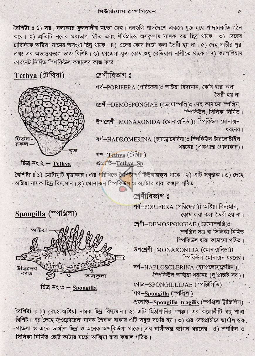 পাতা 9