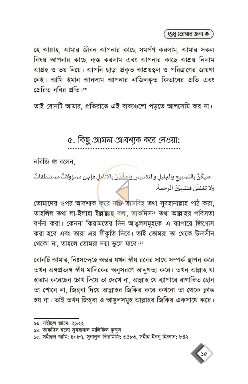 পাতা 13