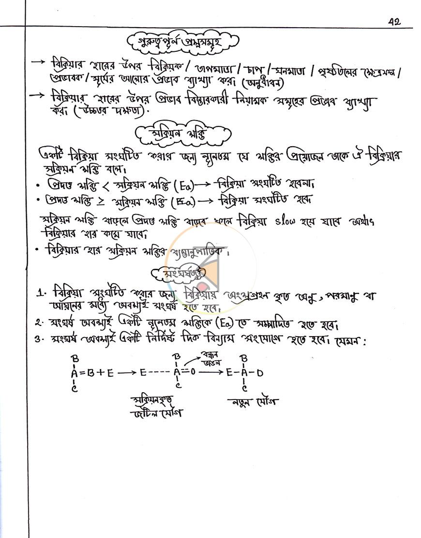পাতা 13