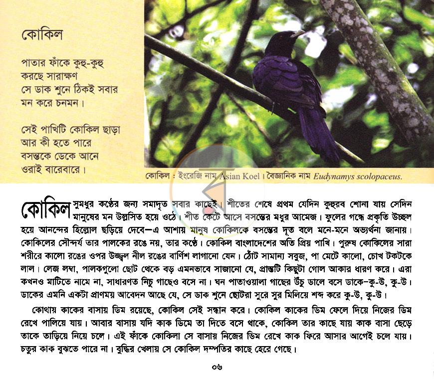 পাতা 4