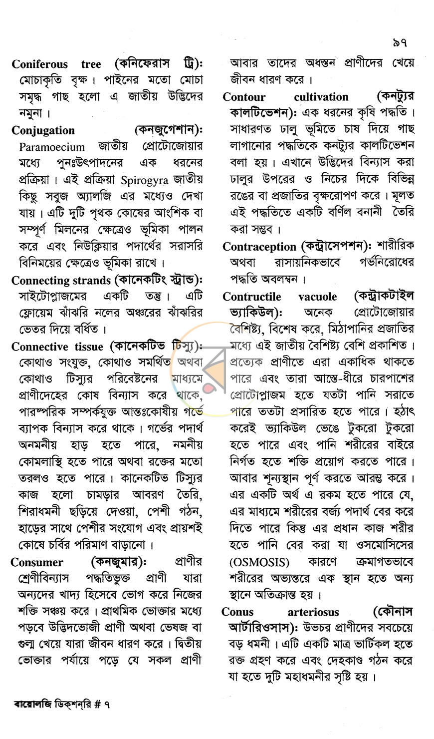 পাতা 13