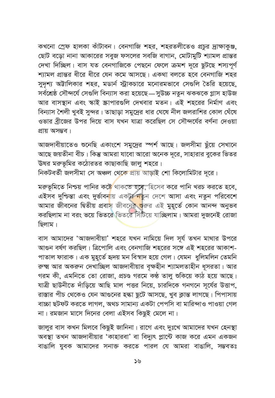 পাতা 11