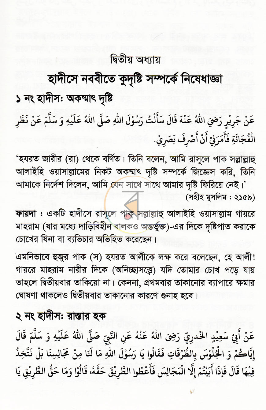 পাতা 13