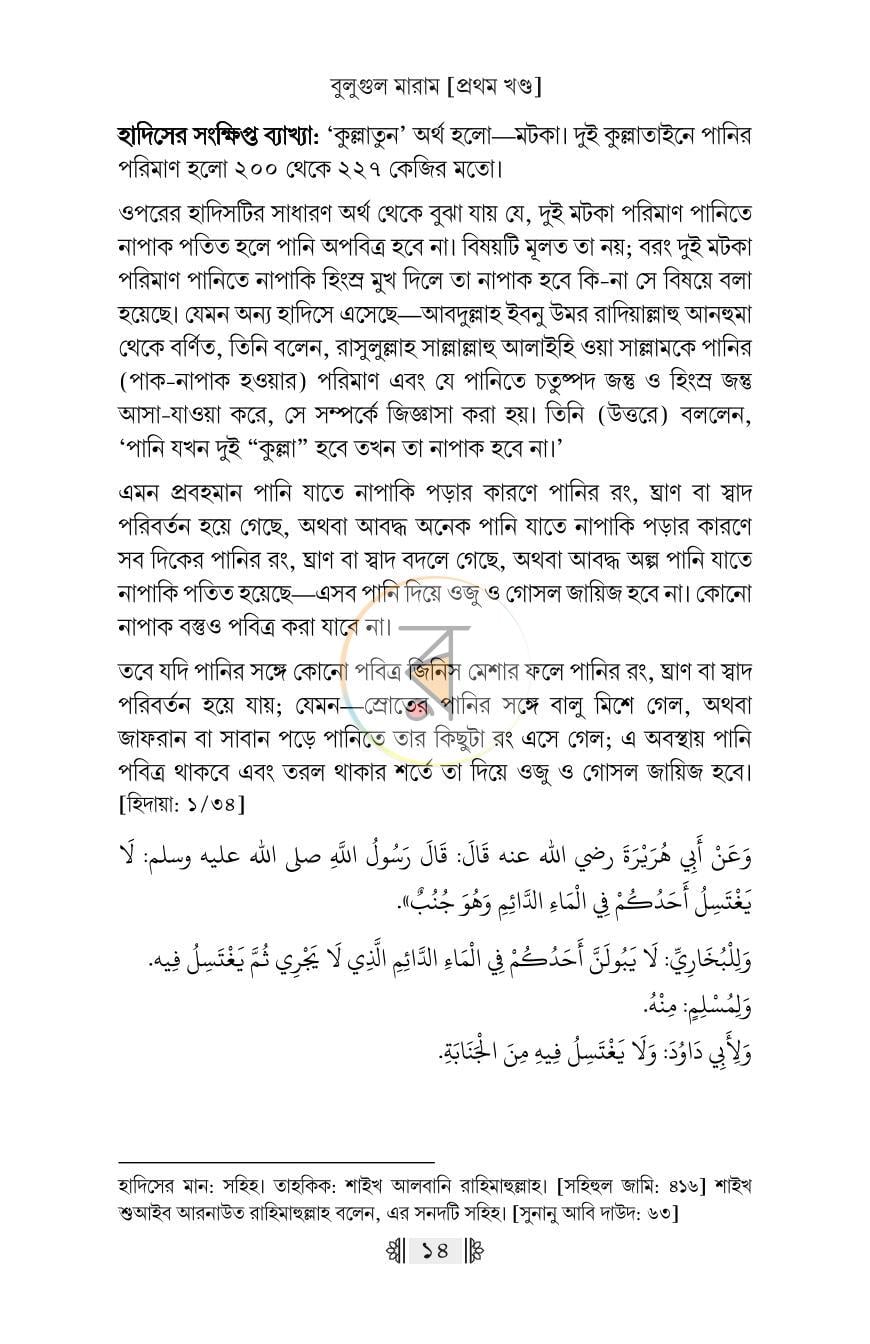 পাতা 11