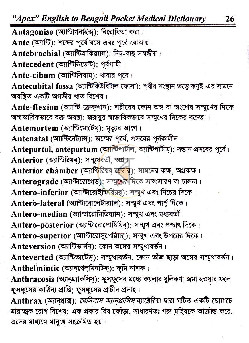 পাতা 13