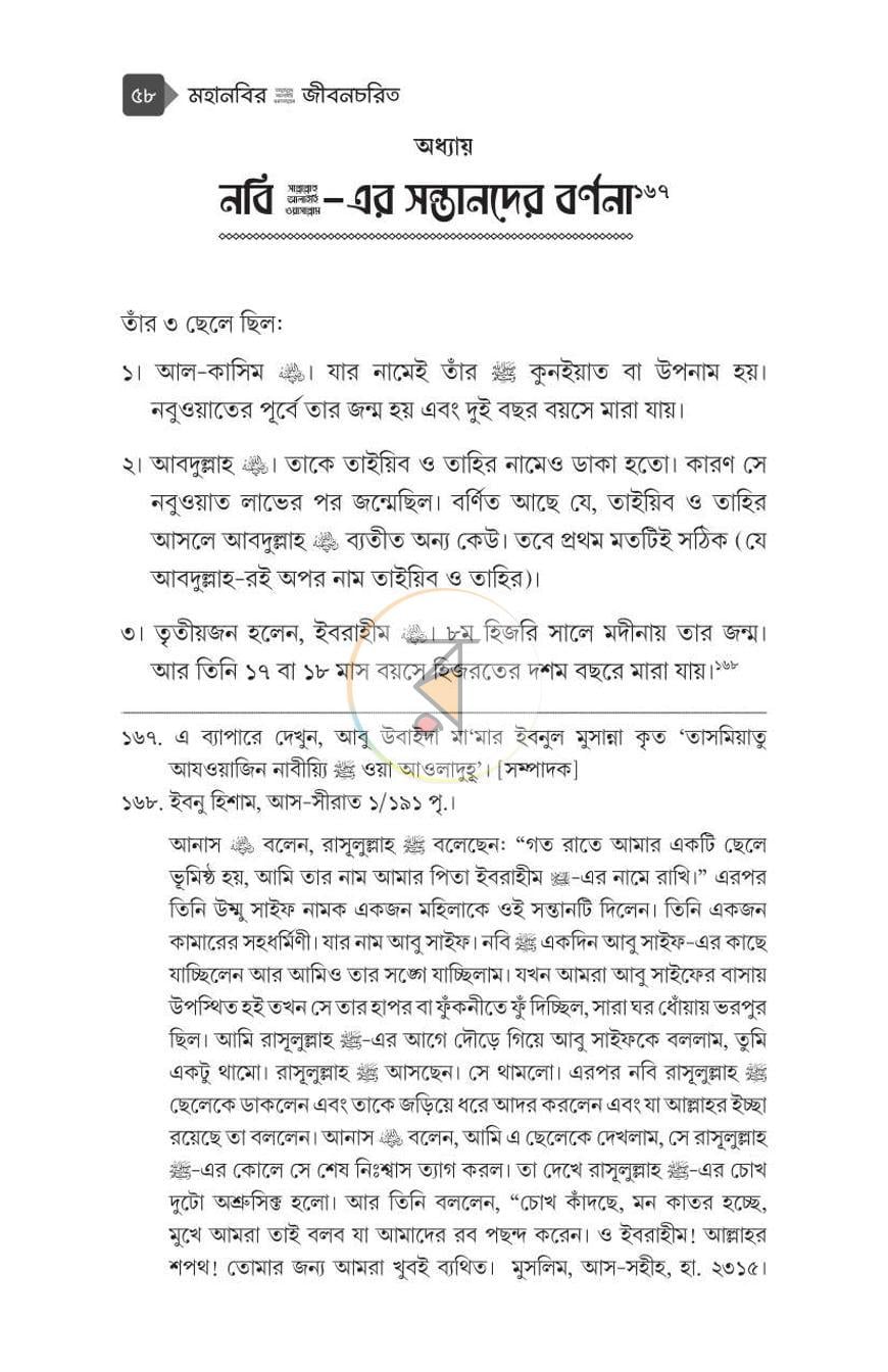 পাতা 13