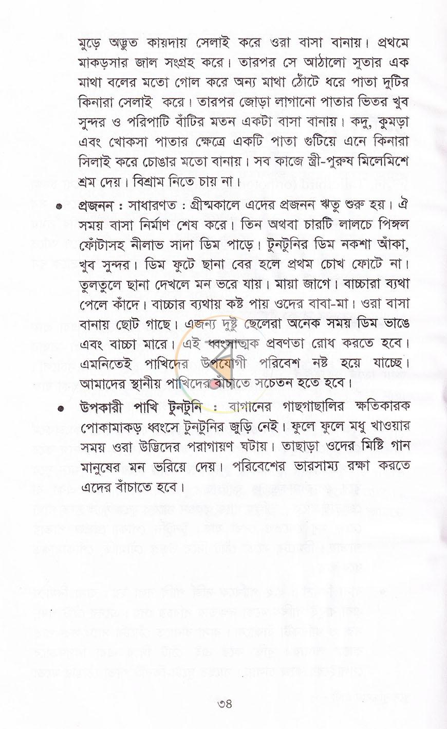 পাতা 9