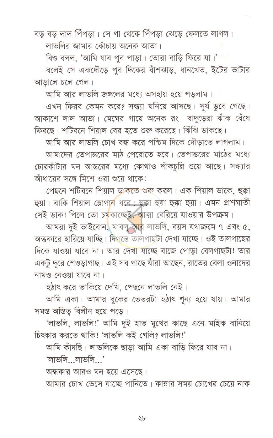 পাতা 11