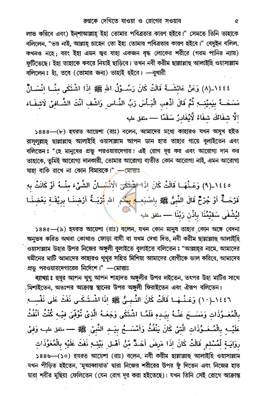 পাতা 8