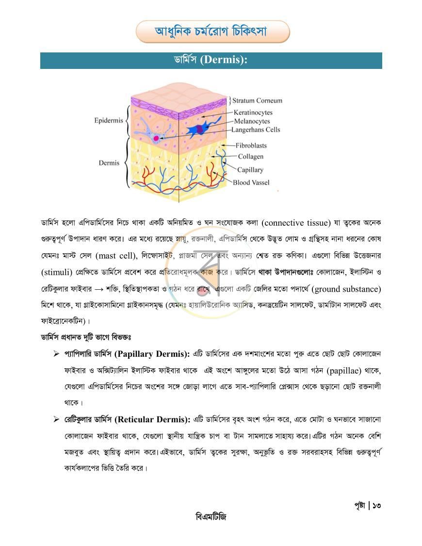 পাতা 13