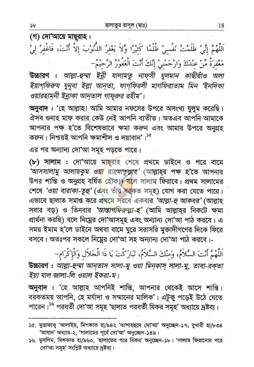 পাতা 13