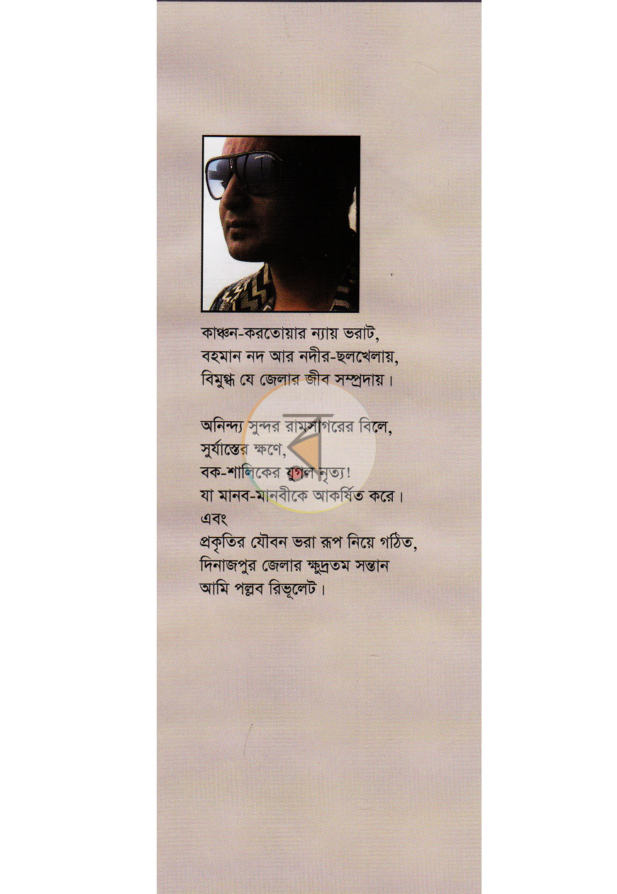 পাতা 11