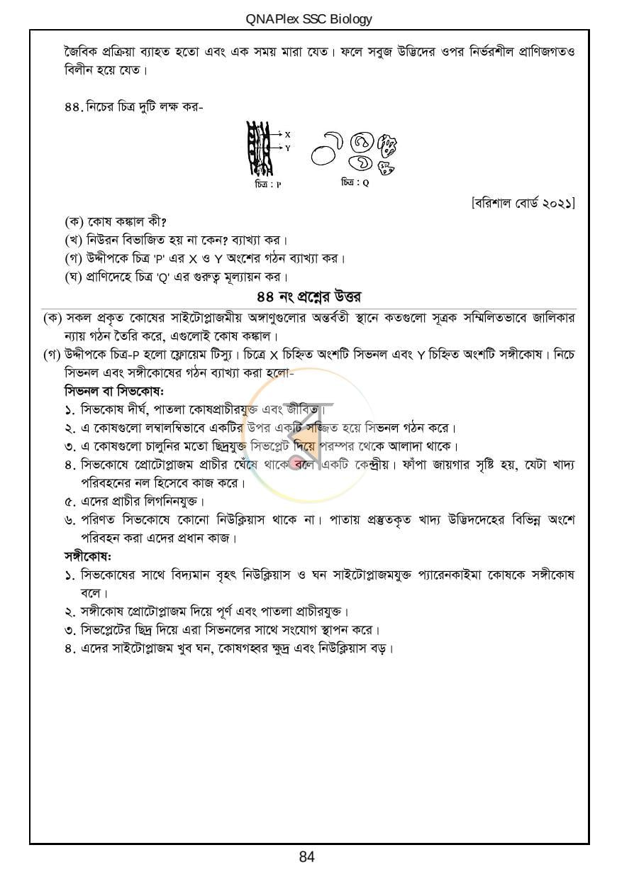 পাতা 11